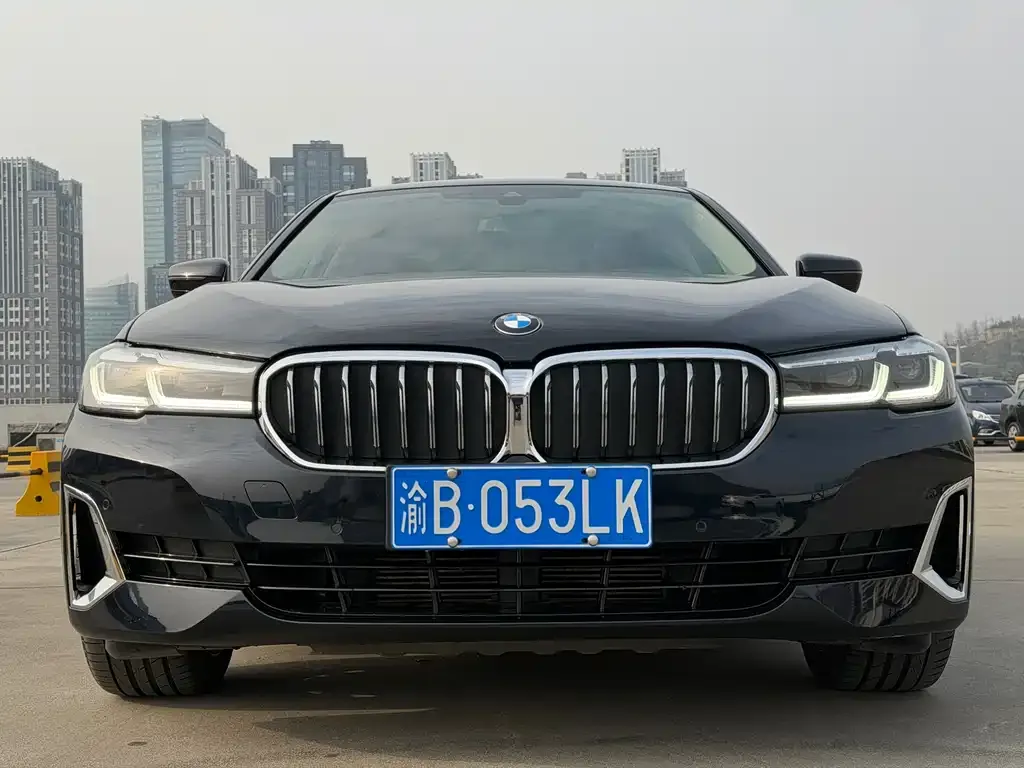 BMW 5 Series 2021 из CN, фото 9