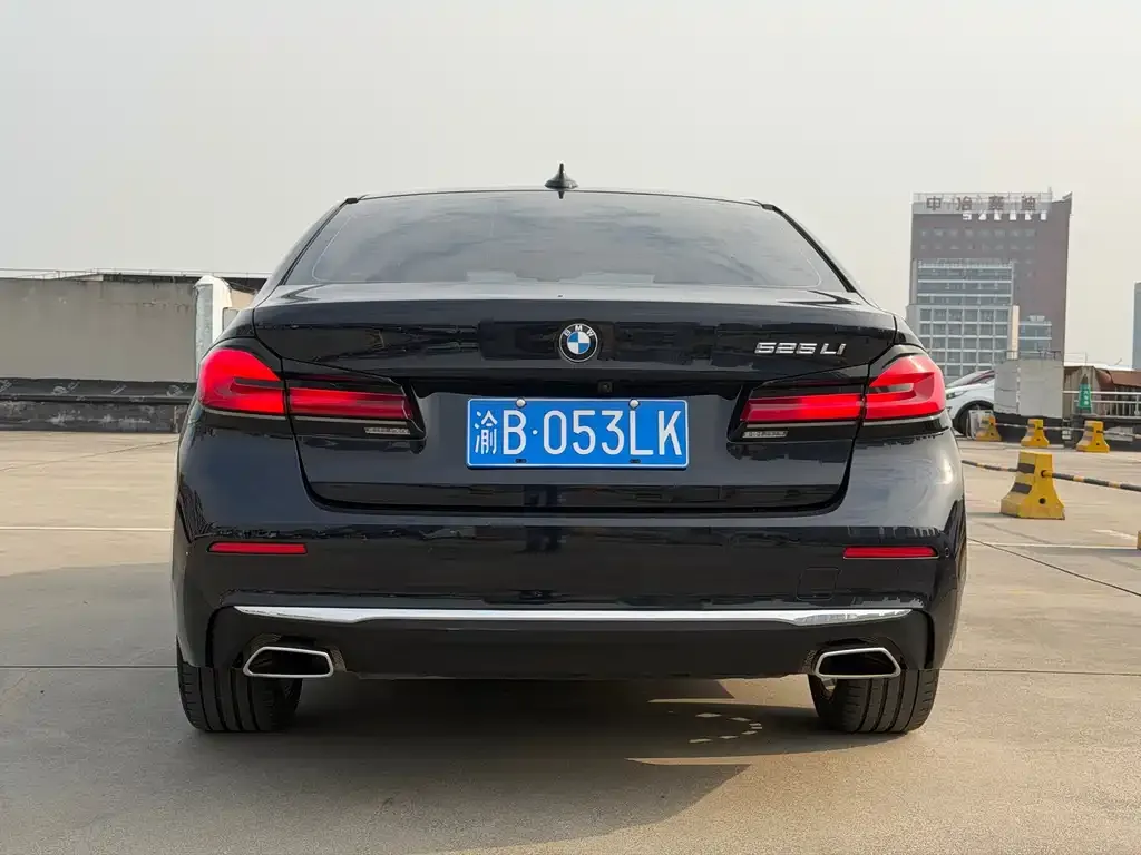 BMW 5 Series 2021 из CN, фото 10