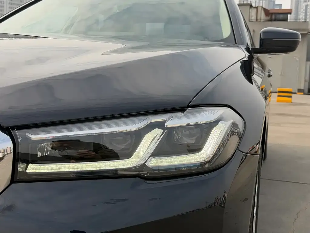 BMW 5 Series 2021 из CN, фото 4