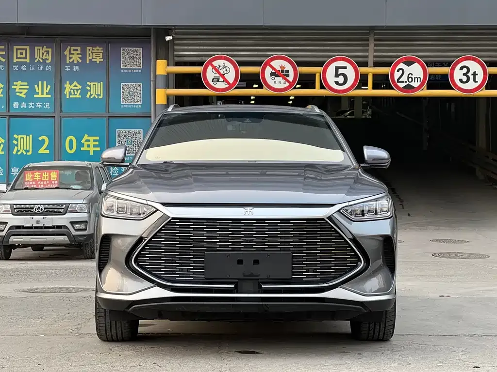 BYD PLUS New Energy 2023 из CN, фото 2
