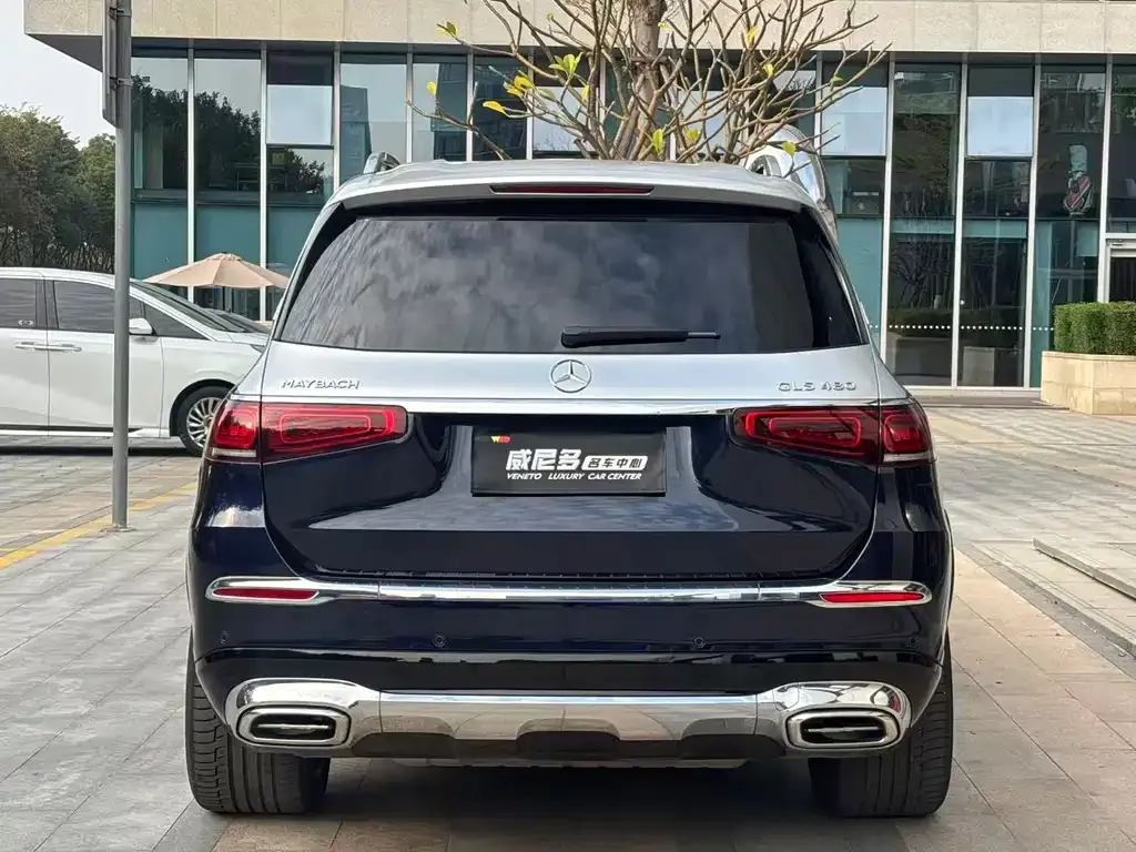 Mercedes-Benz GLS 2022 из CN, фото 4