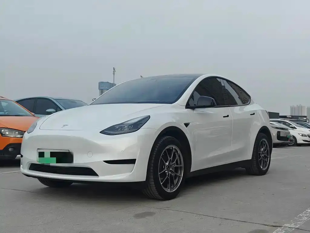 Tesla Model Y 2023 из CN, фото 1