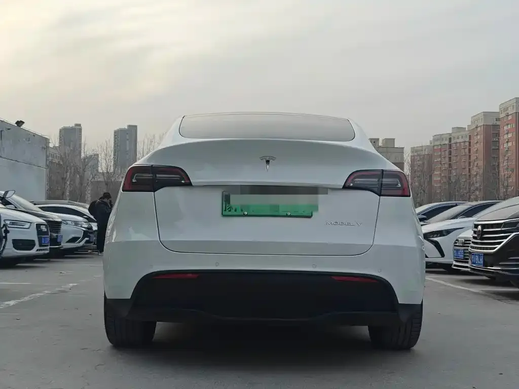 Tesla Model Y 2023 из CN, фото 5
