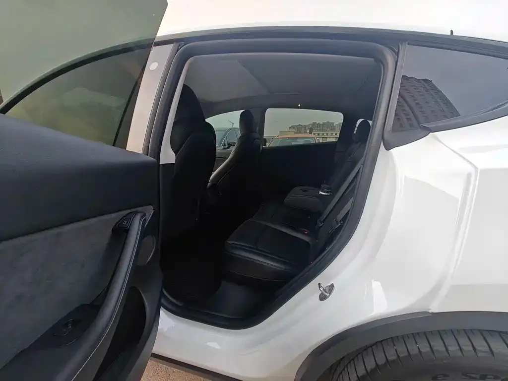 Tesla Model Y 2023 из CN, фото 4