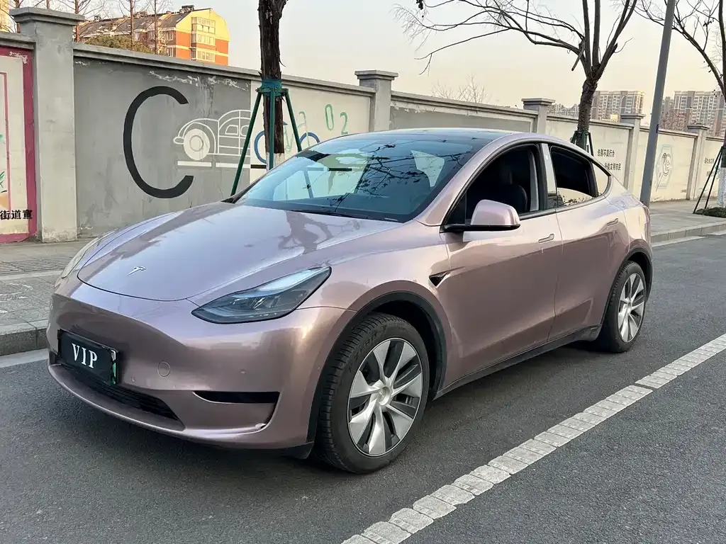 Tesla Model Y 2022 из CN, фото 1