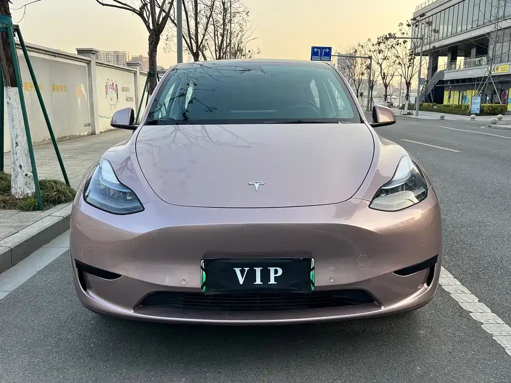 Tesla Model Y 2022 из CN, фото 5