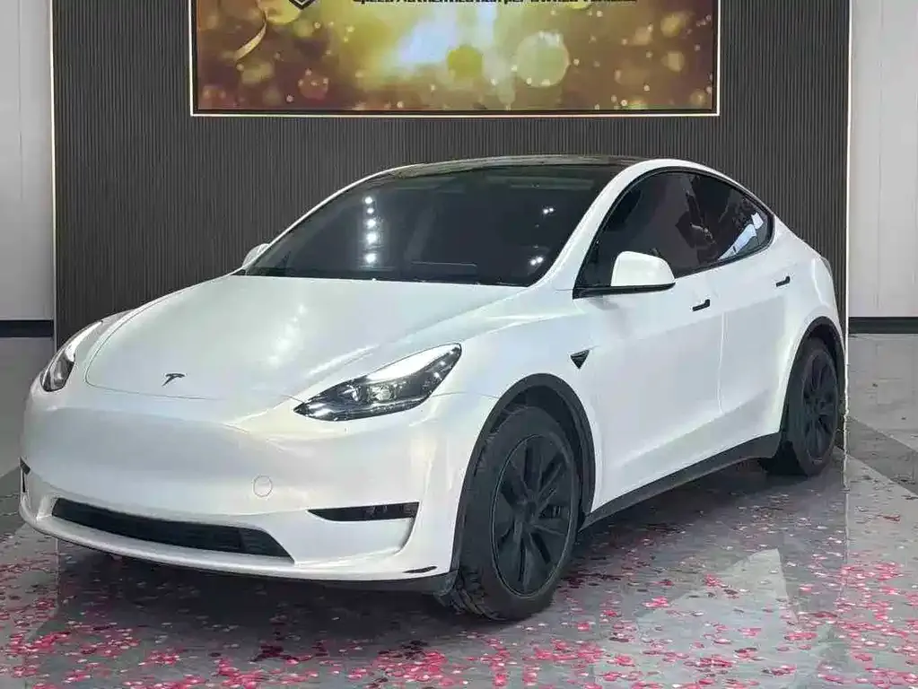 Tesla Model Y 2024 из CN, фото 1