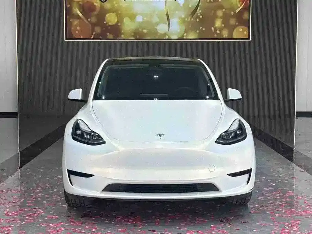 Tesla Model Y 2024 из CN, фото 6