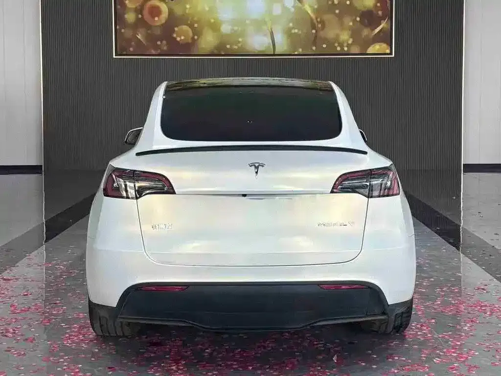 Tesla Model Y 2024 из CN, фото 4