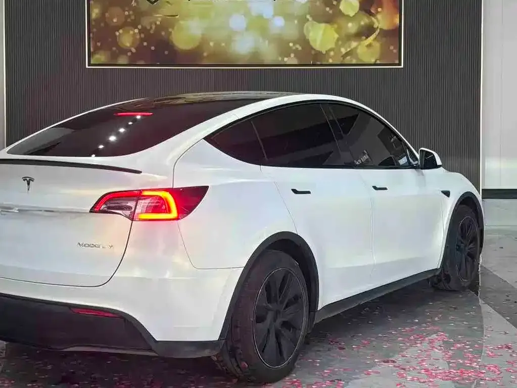 Tesla Model Y 2024 из CN, фото 2