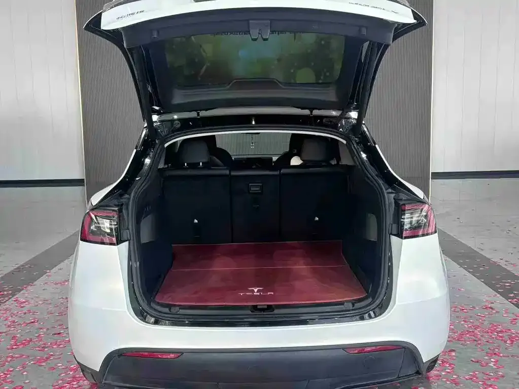 Tesla Model Y 2024 из CN, фото 5