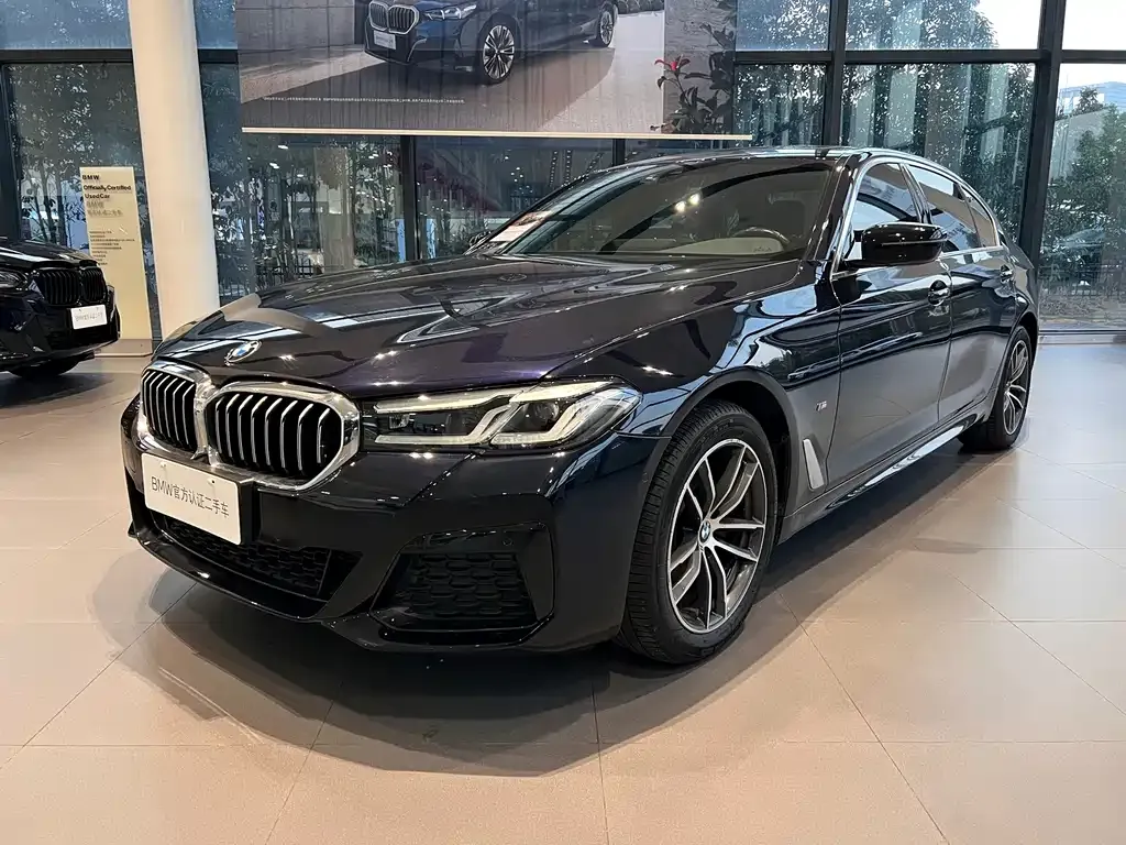 BMW 5 Series 2021 из CN, фото 1