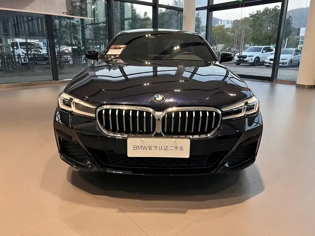 BMW 5 Series 2021 из CN, фото 4