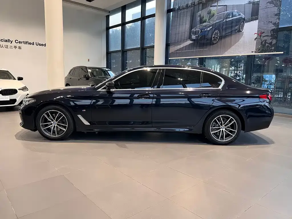 BMW 5 Series 2021 из CN, фото 9