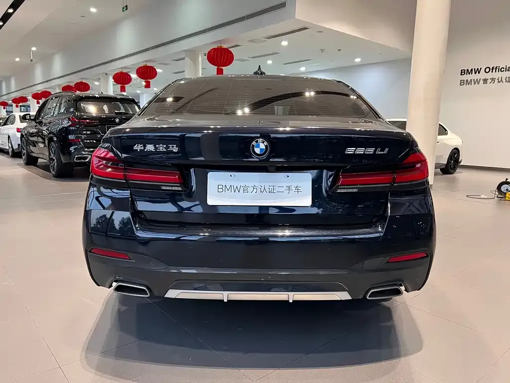 BMW 5 Series 2021 из CN, фото 3