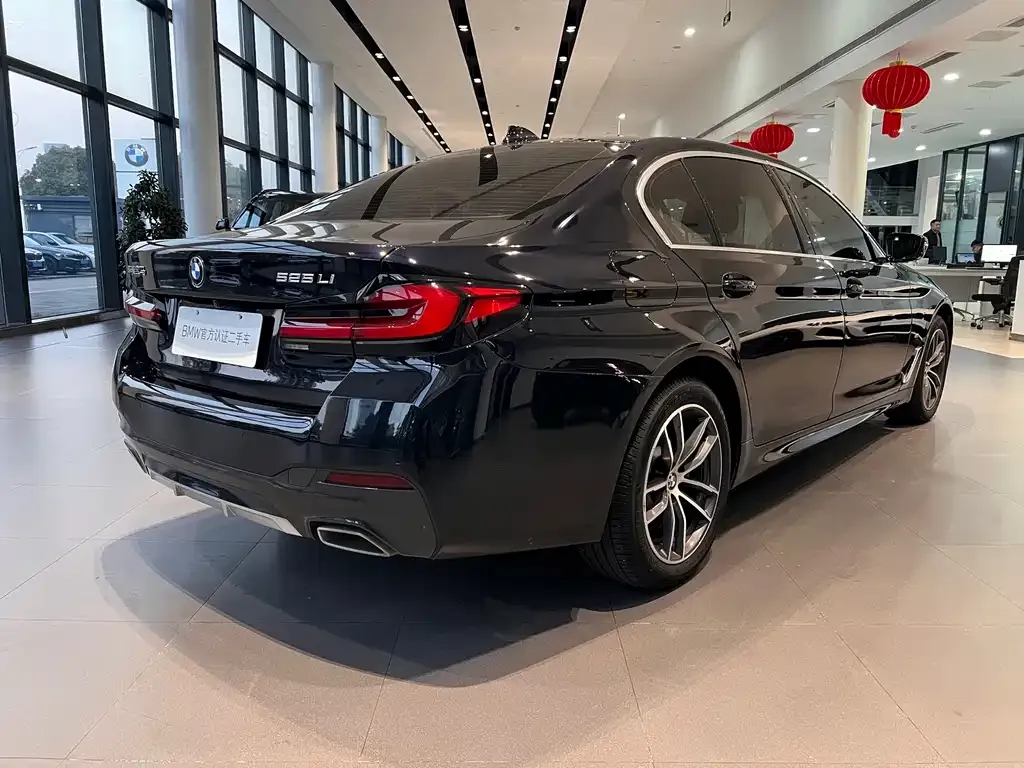BMW 5 Series 2021 из CN, фото 6