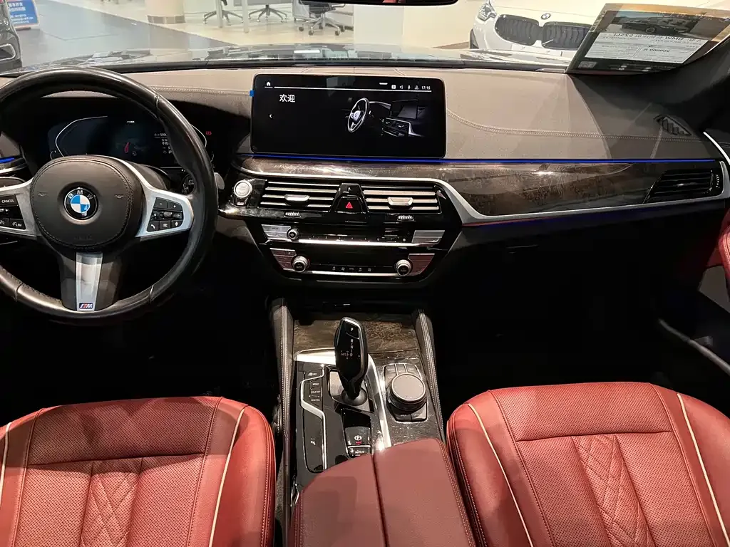 BMW 5 Series 2021 из CN, фото 7