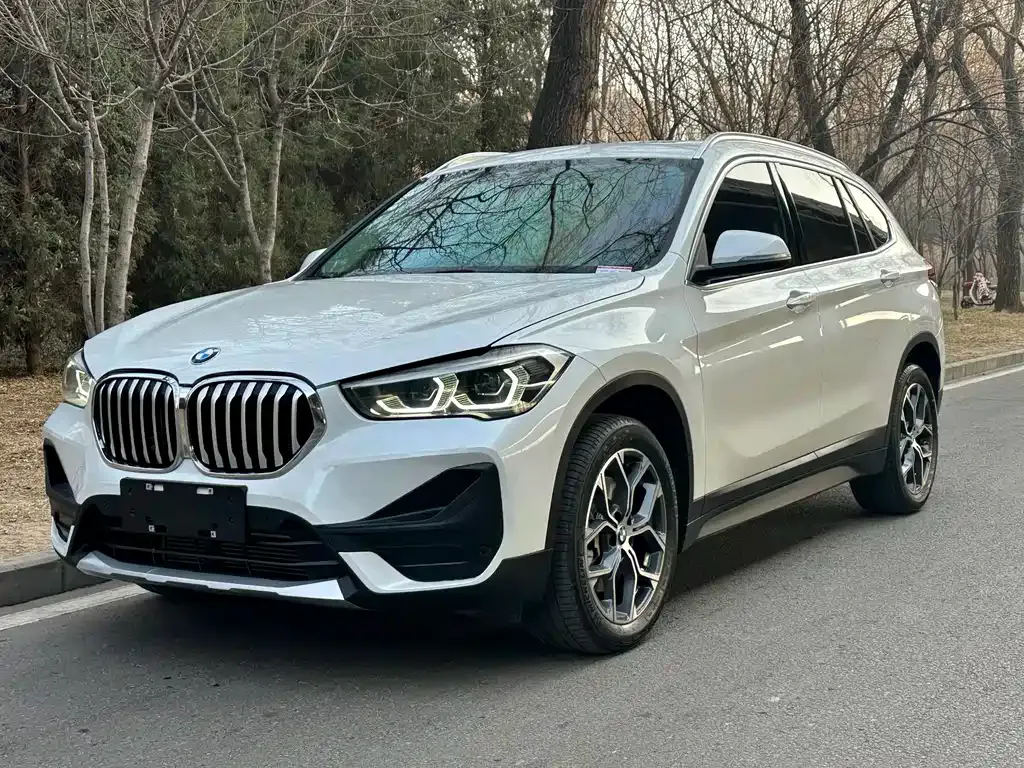 BMW X1 — фото 1