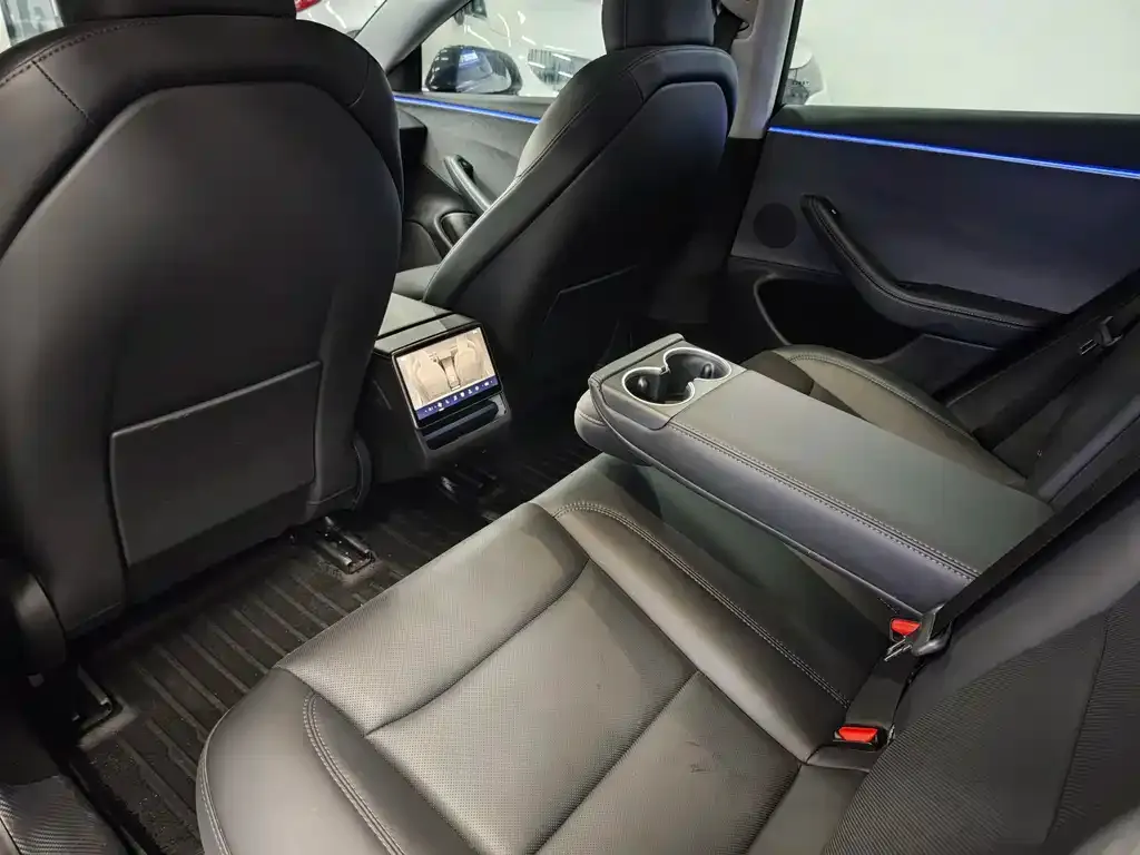 Tesla Model 3 2025 из CN, фото 4