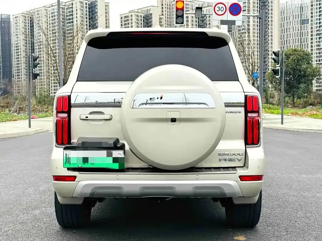 Tank 500 New Energy 2023 из CN, фото 8