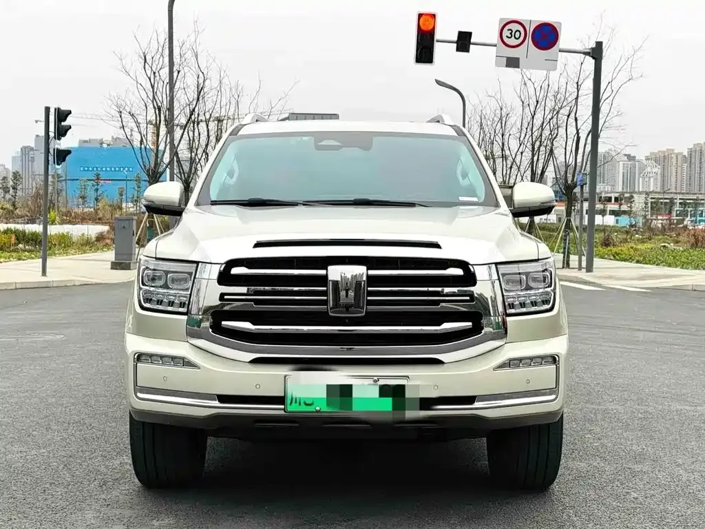 Tank 500 New Energy 2023 из CN, фото 6