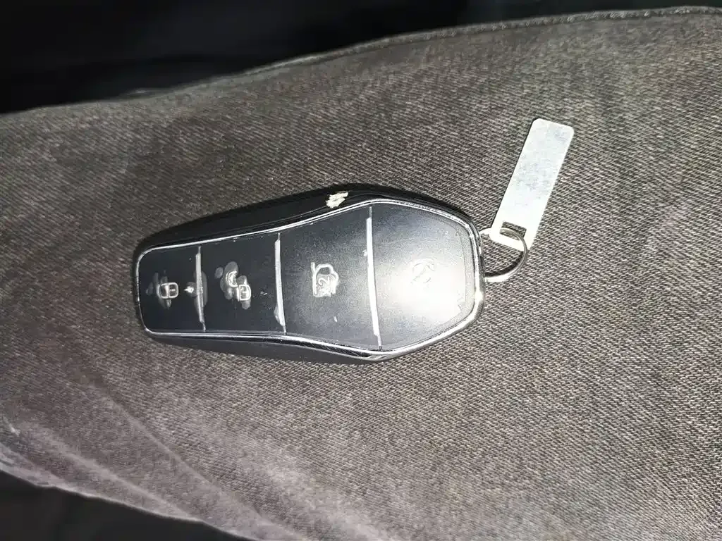 BYD Qin L 2025 из CN, фото 9