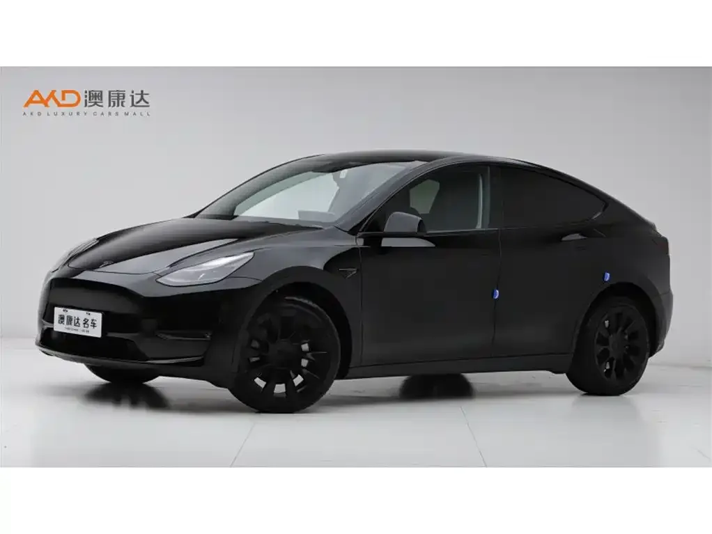 Tesla Model Y 2021 из CN, фото 1
