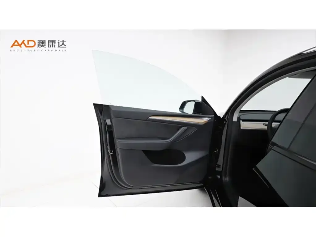 Tesla Model Y 2021 из CN, фото 3