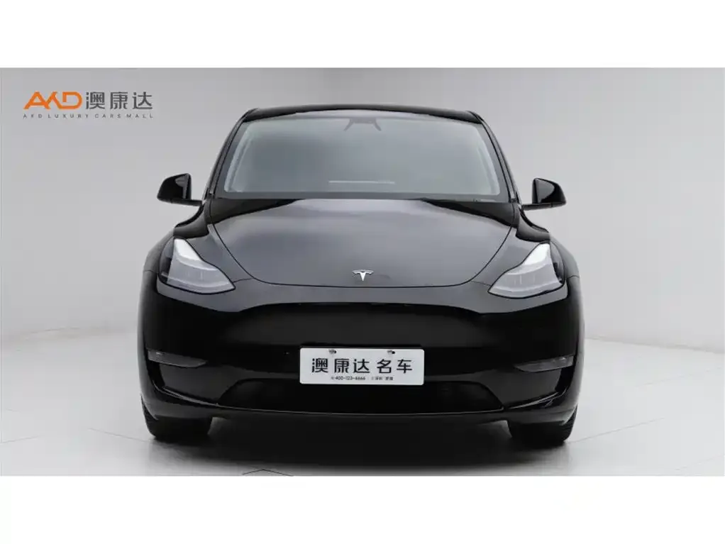 Tesla Model Y 2021 из CN, фото 7