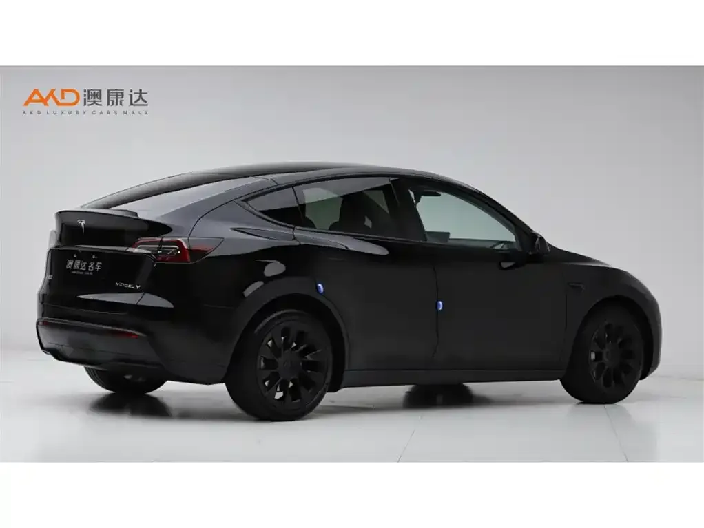 Tesla Model Y 2021 из CN, фото 2