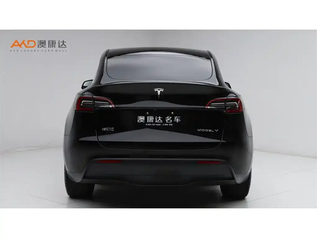 Tesla Model Y 2021 из CN, фото 5
