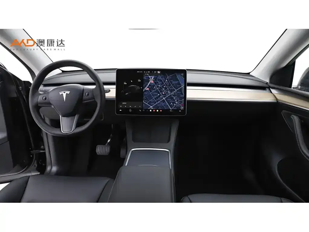 Tesla Model Y 2021 из CN, фото 9