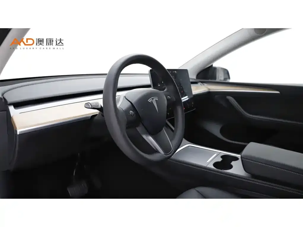 Tesla Model Y 2021 из CN, фото 10