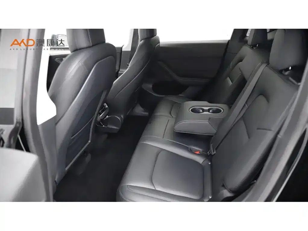 Tesla Model Y 2021 из CN, фото 4