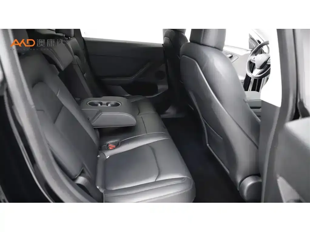 Tesla Model Y 2021 из CN, фото 6