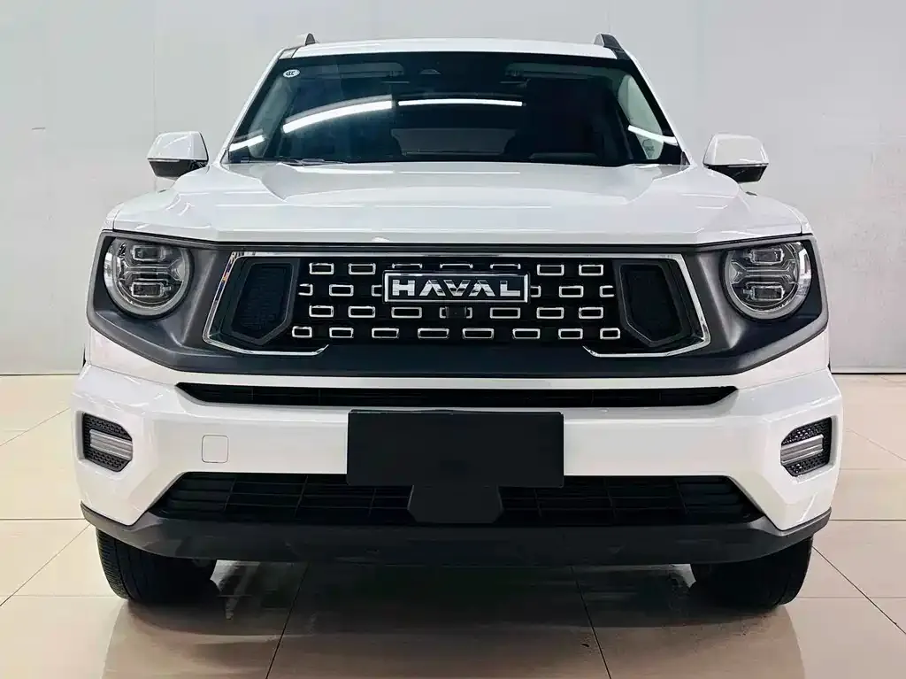 Haval H7 (Big Dog Plus) — фото 1
