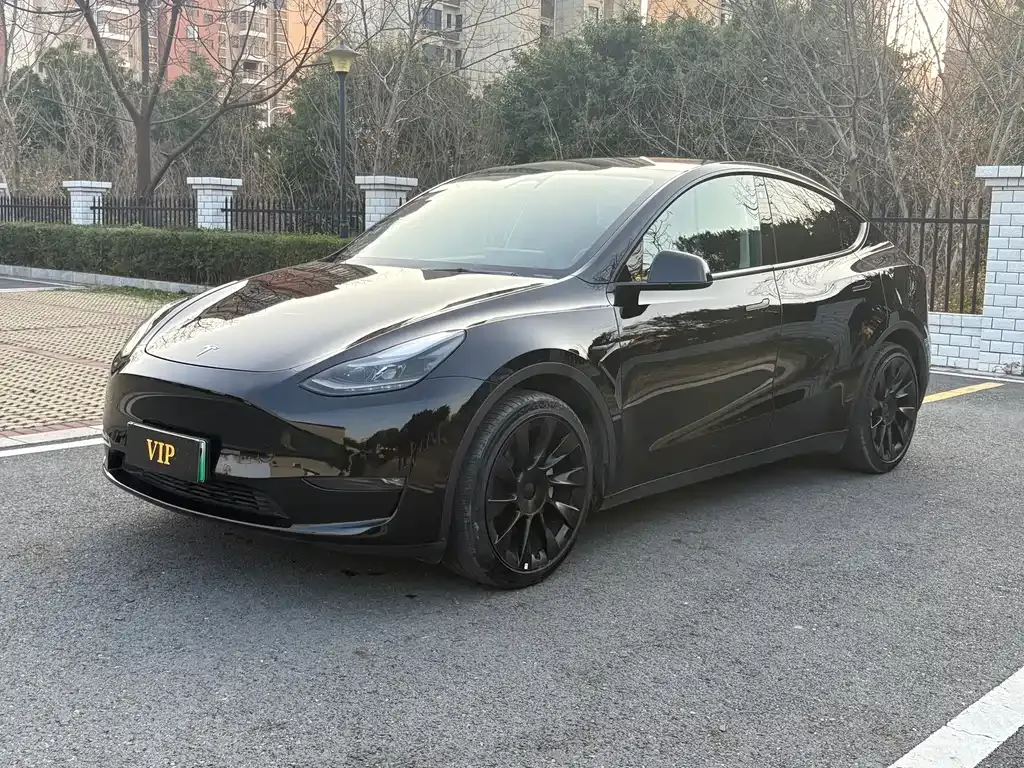 Tesla Model Y 2021 из CN, фото 1