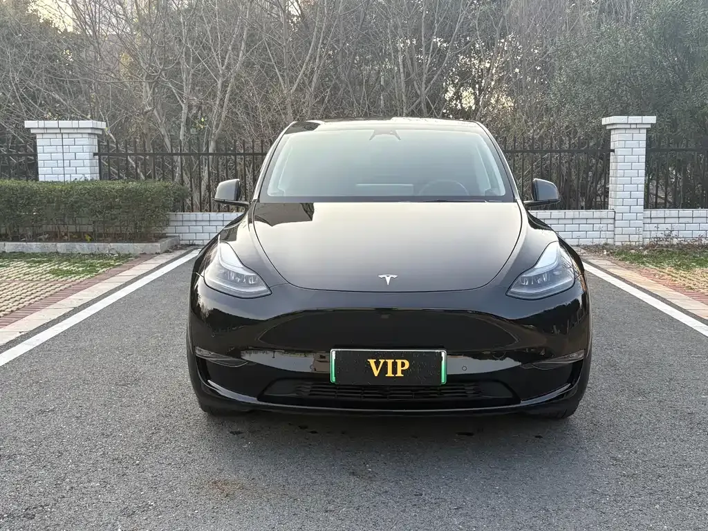 Tesla Model Y 2021 из CN, фото 9