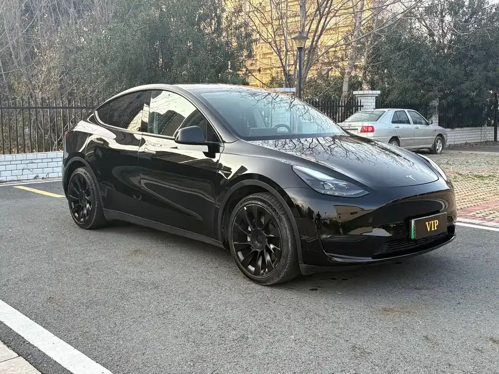 Tesla Model Y 2021 из CN, фото 6