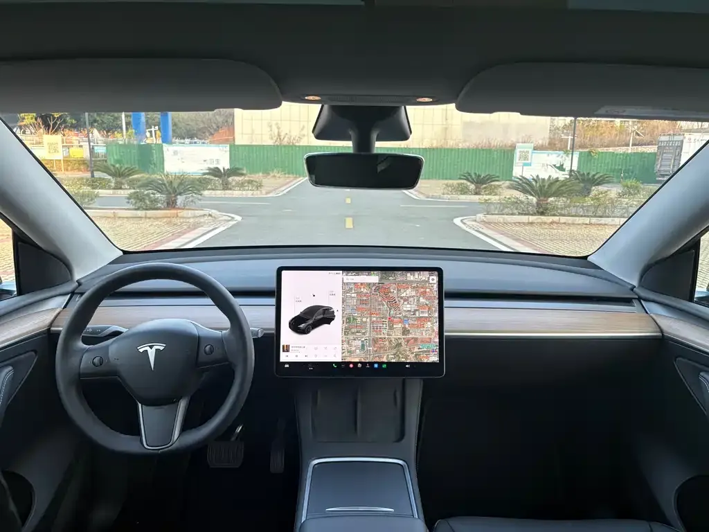 Tesla Model Y 2021 из CN, фото 5