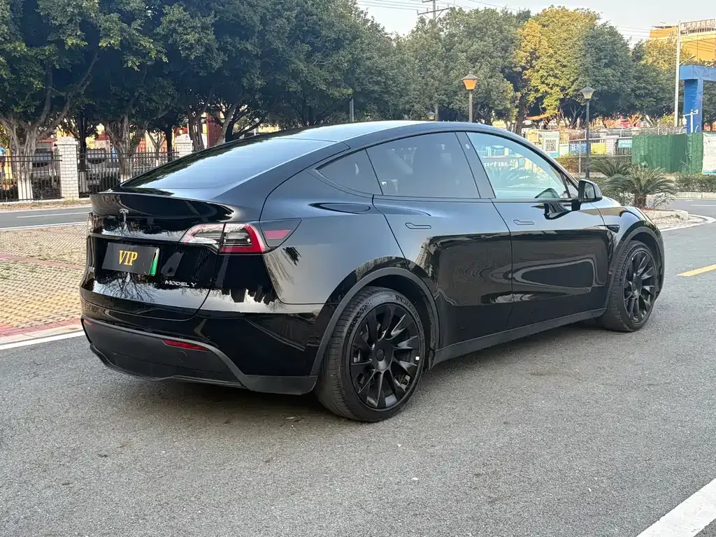 Tesla Model Y 2021 из CN, фото 7