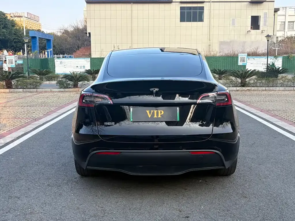 Tesla Model Y 2021 из CN, фото 4