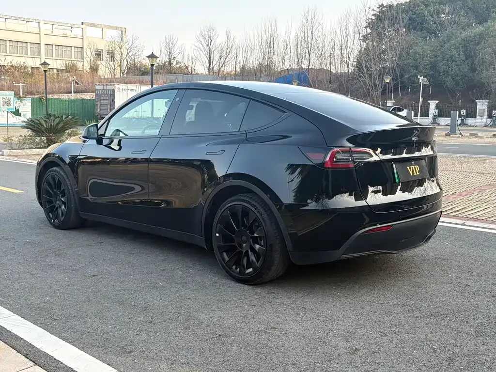 Tesla Model Y 2021 из CN, фото 8