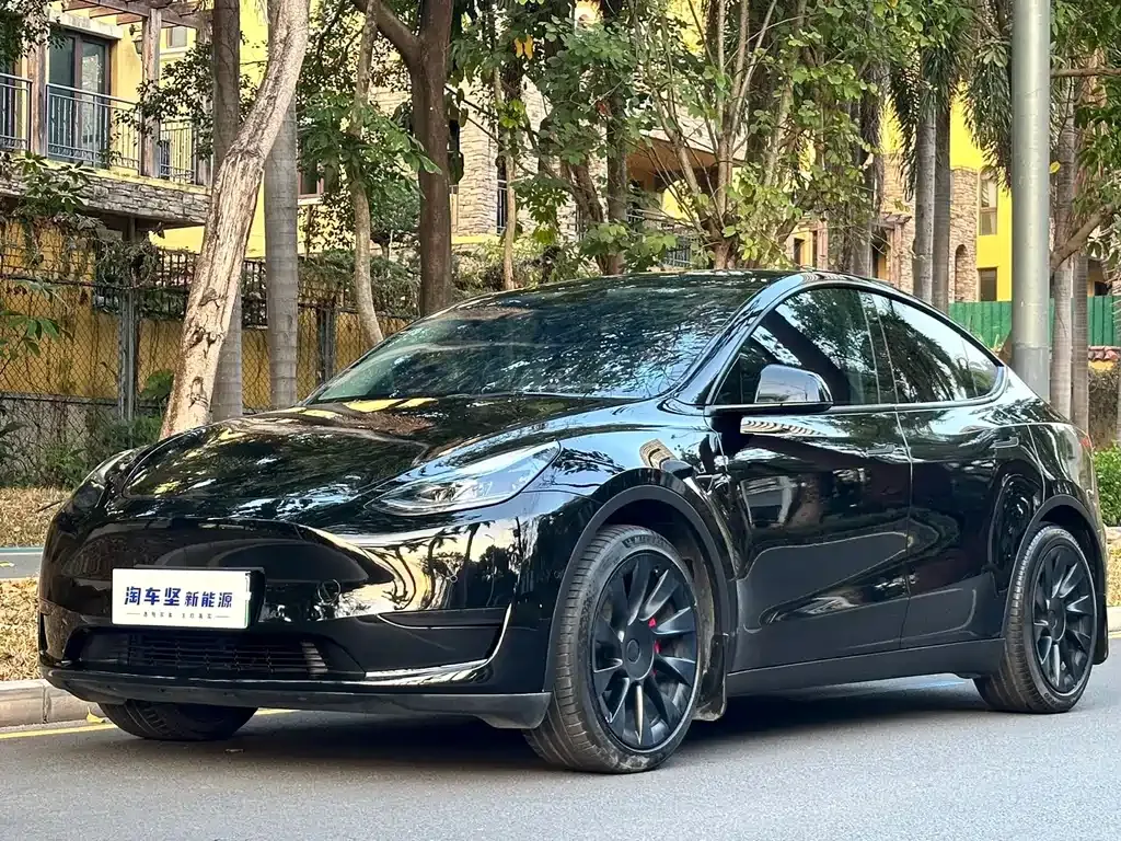 Tesla Model Y 2023 из CN, фото 1