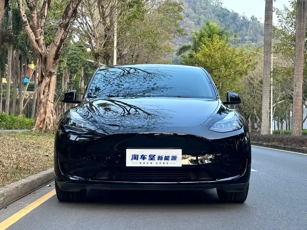 Tesla Model Y 2023 из CN, фото 9