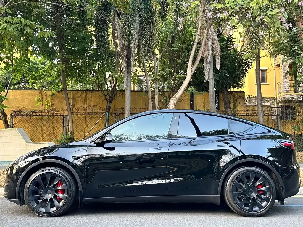 Tesla Model Y 2023 из CN, фото 6