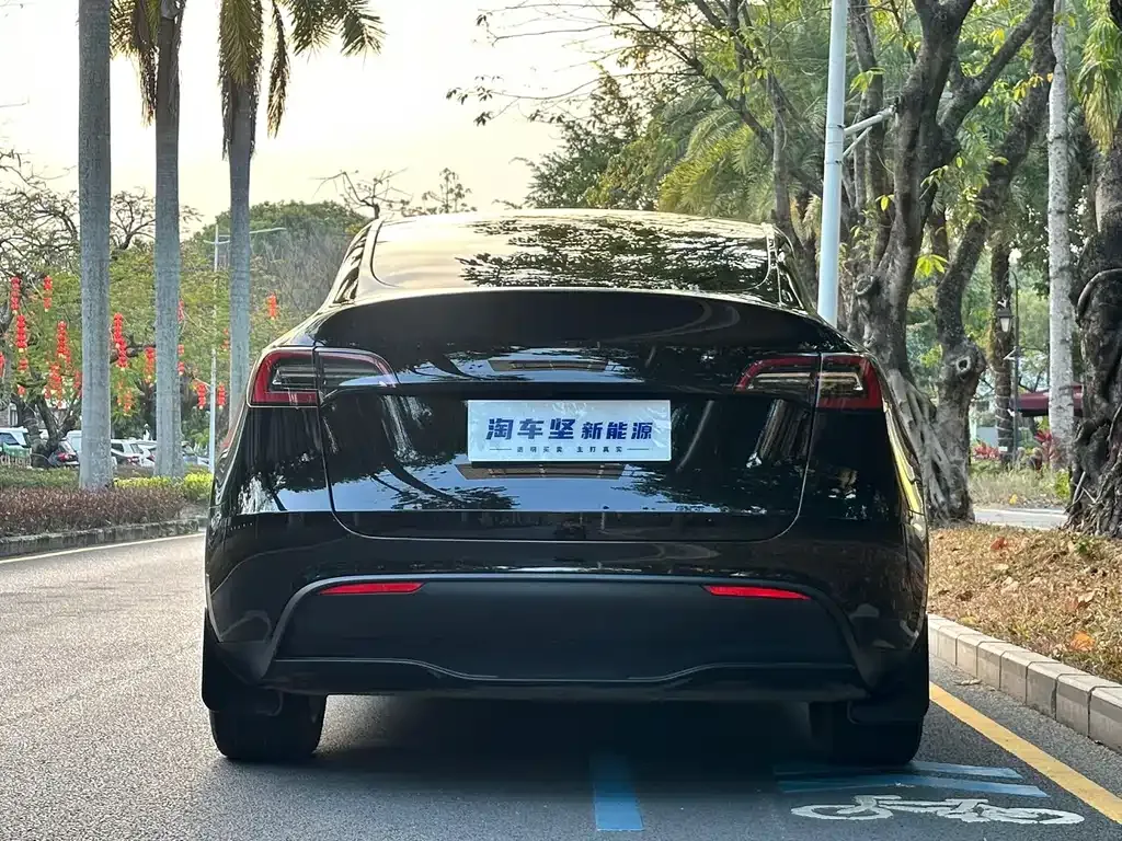 Tesla Model Y 2023 из CN, фото 5