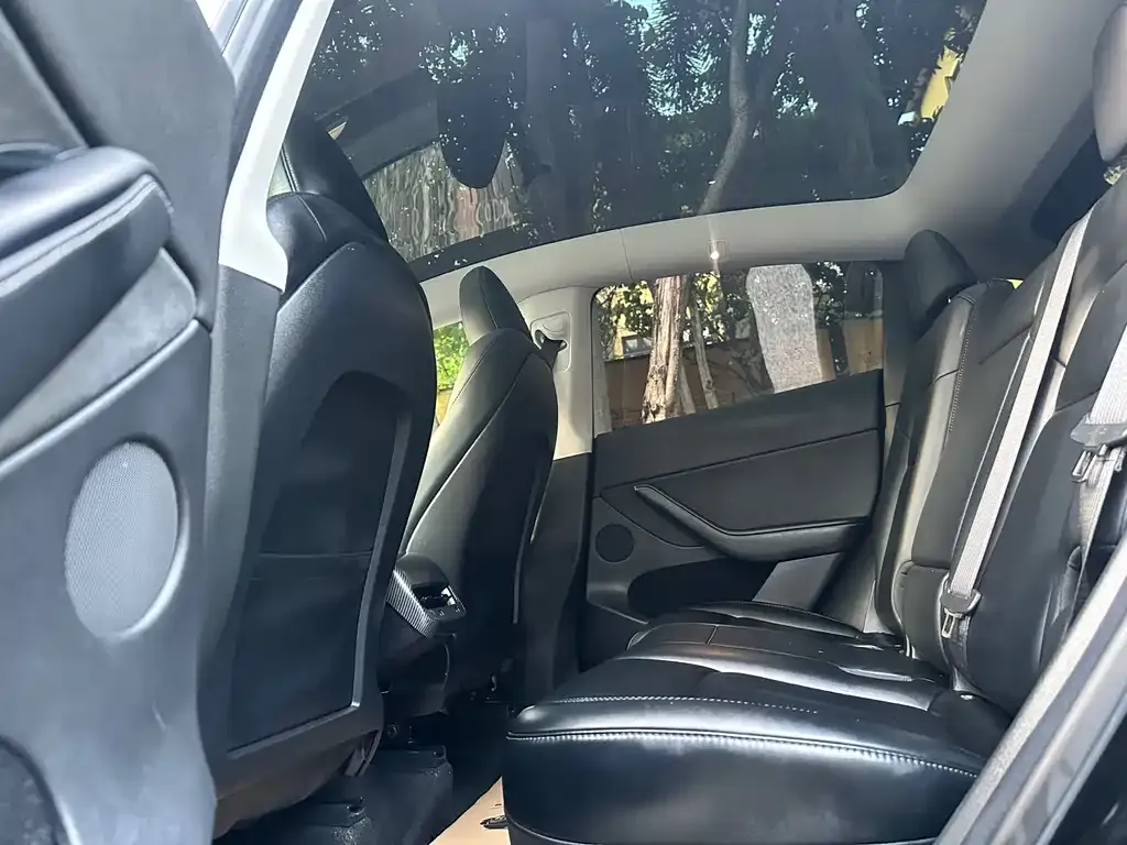 Tesla Model Y 2023 из CN, фото 4