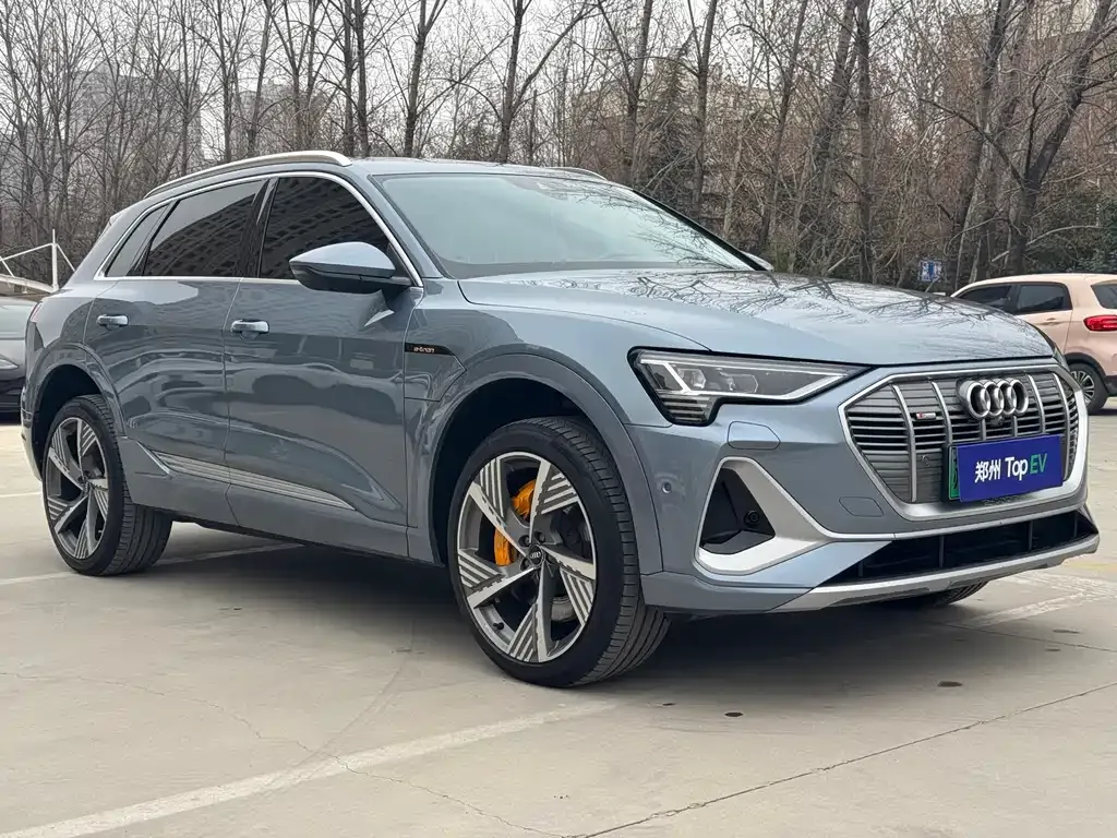 Audi e-tron 2021 из CN, фото 9