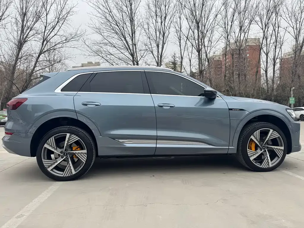 Audi e-tron 2021 из CN, фото 7